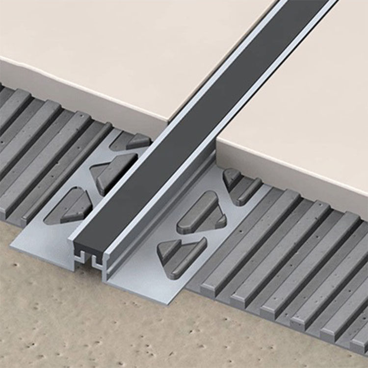 giunto di dilatazione di acciaio inossidabile di 30mm per costruzione
